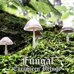 Evergreen Refuge : Fungal